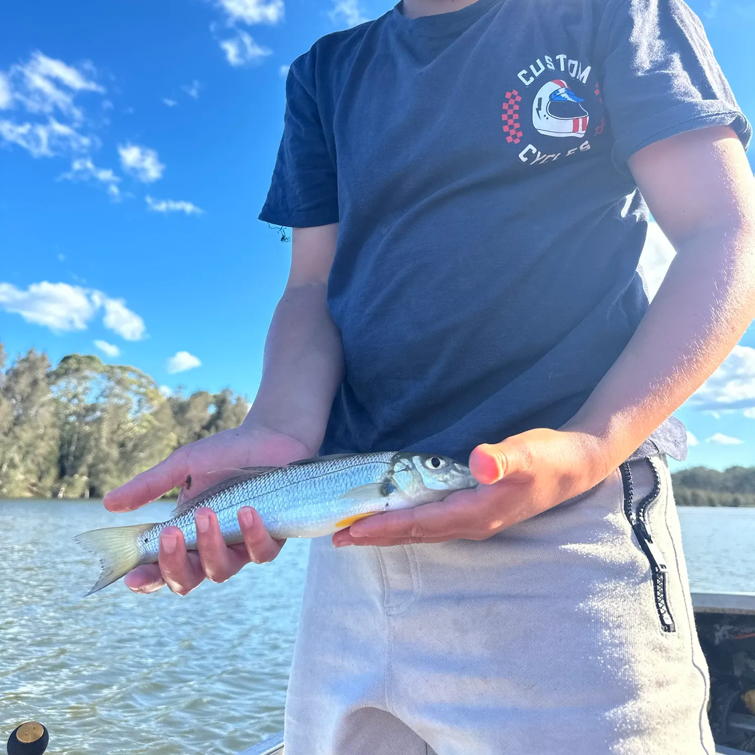 Sand sillago caught on Fishbrain