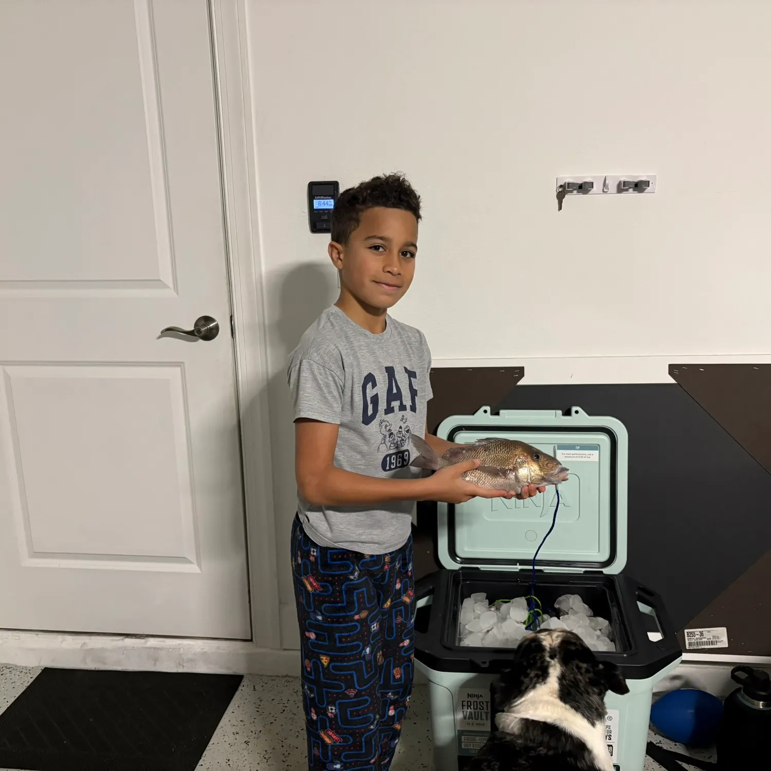 The most recent Sailor's choice grunt catches on Fishbrain