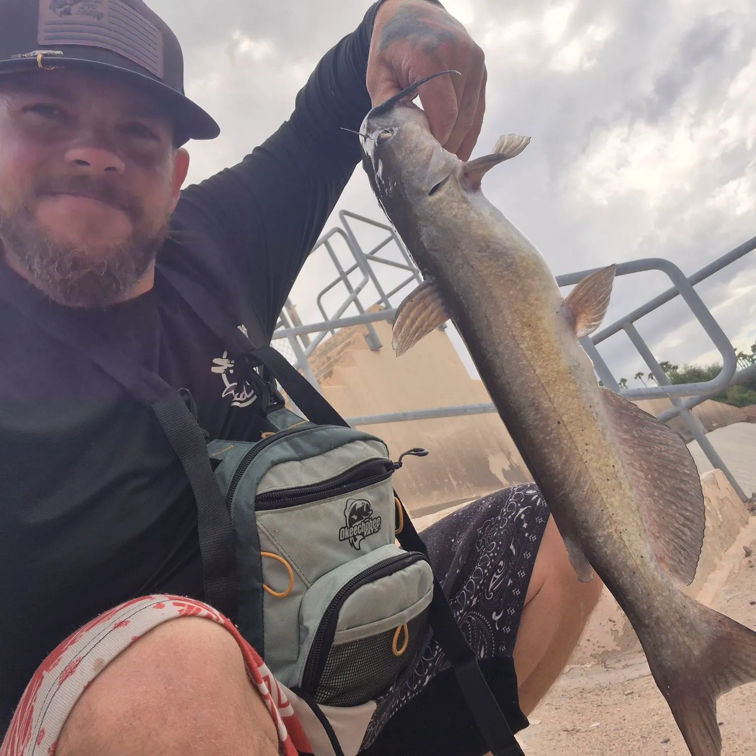 Channel catfish caught on Fishbrain