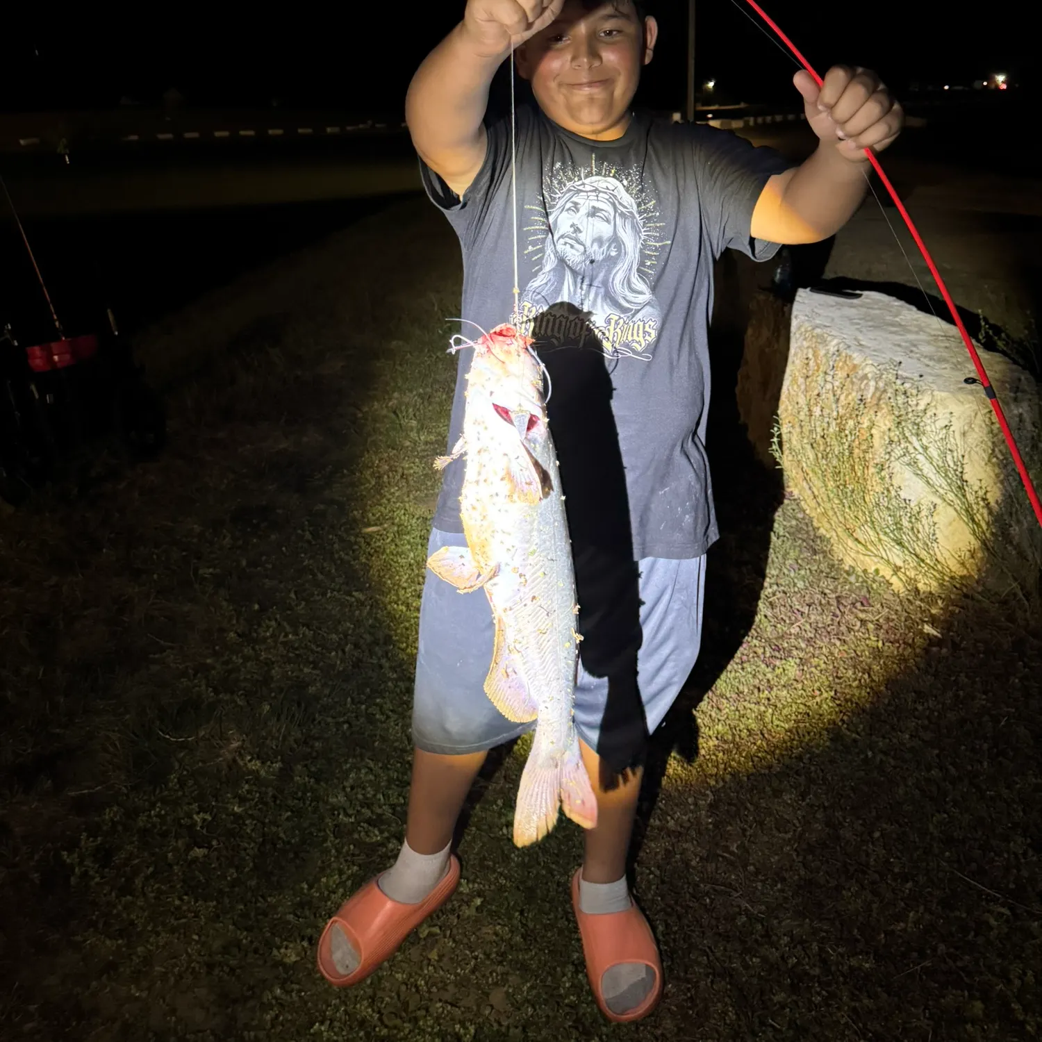 Channel catfish caught on Fishbrain
