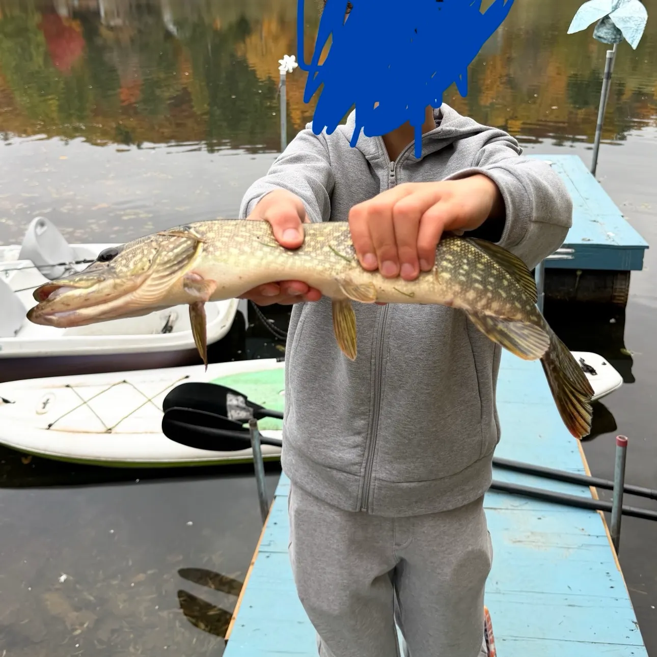 Northern pike caught on Fishbrain