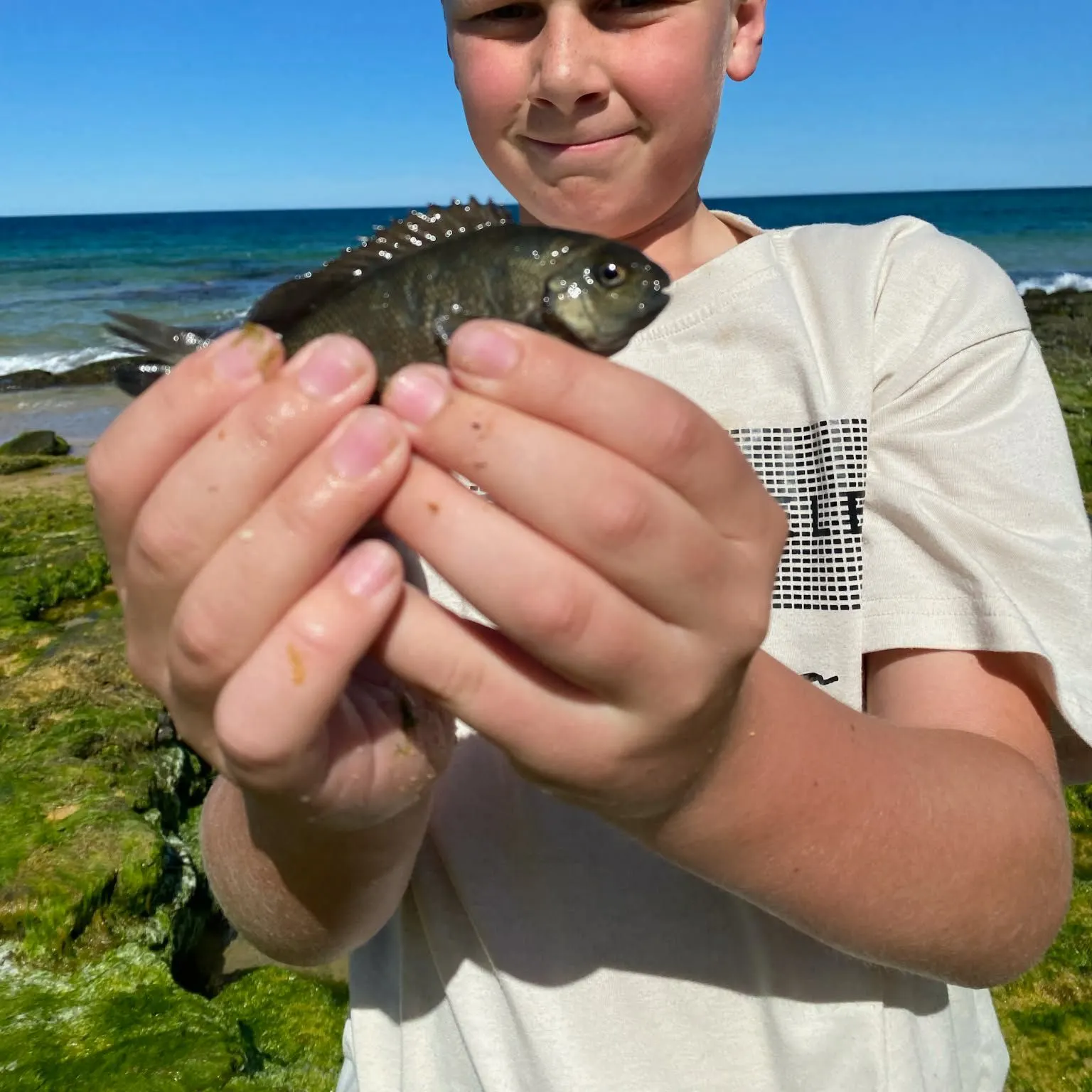 The most recent Black drummer catches on Fishbrain