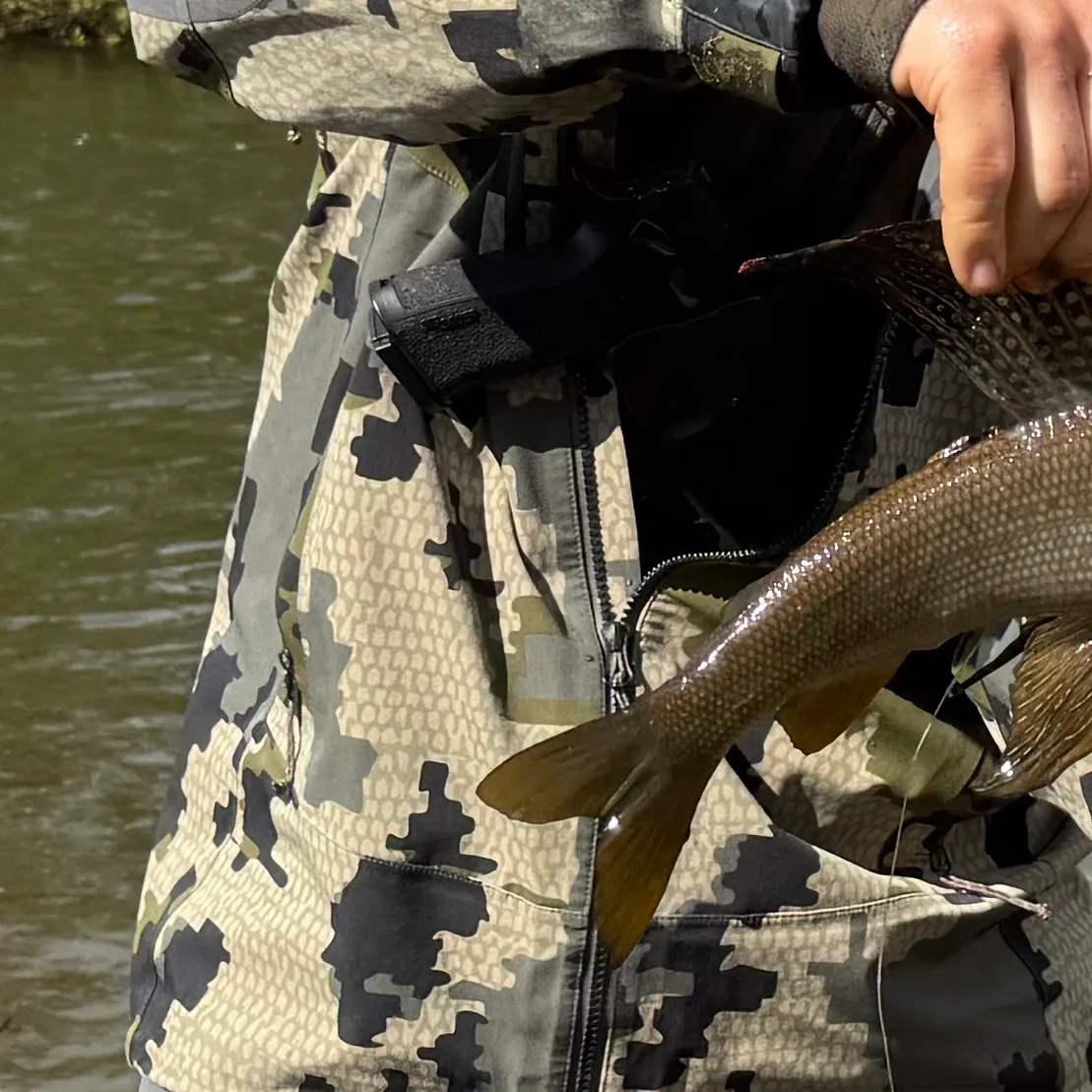 Arctic grayling caught on Fishbrain