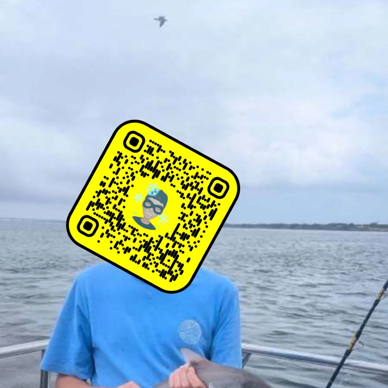 most liked catch image