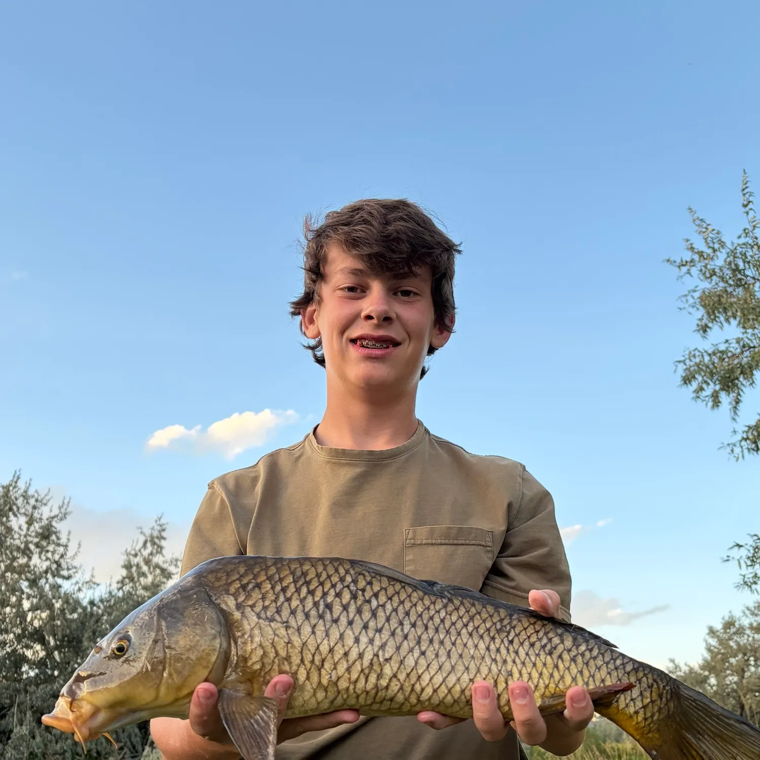 Common carp caught on Fishbrain