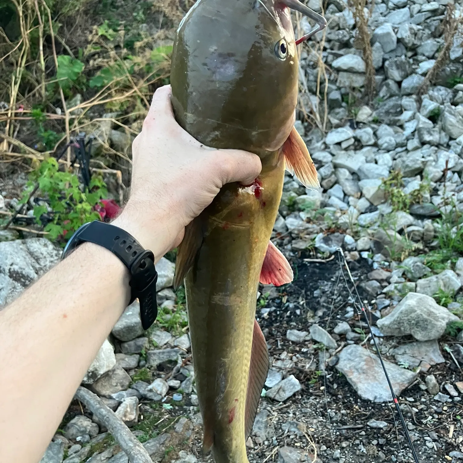 catch