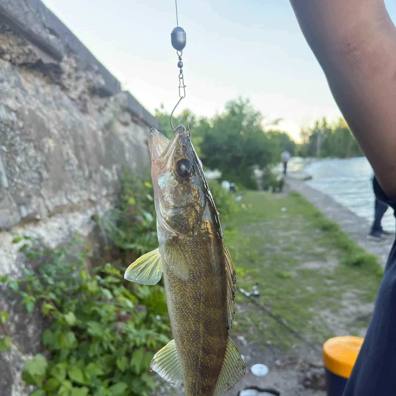 catch