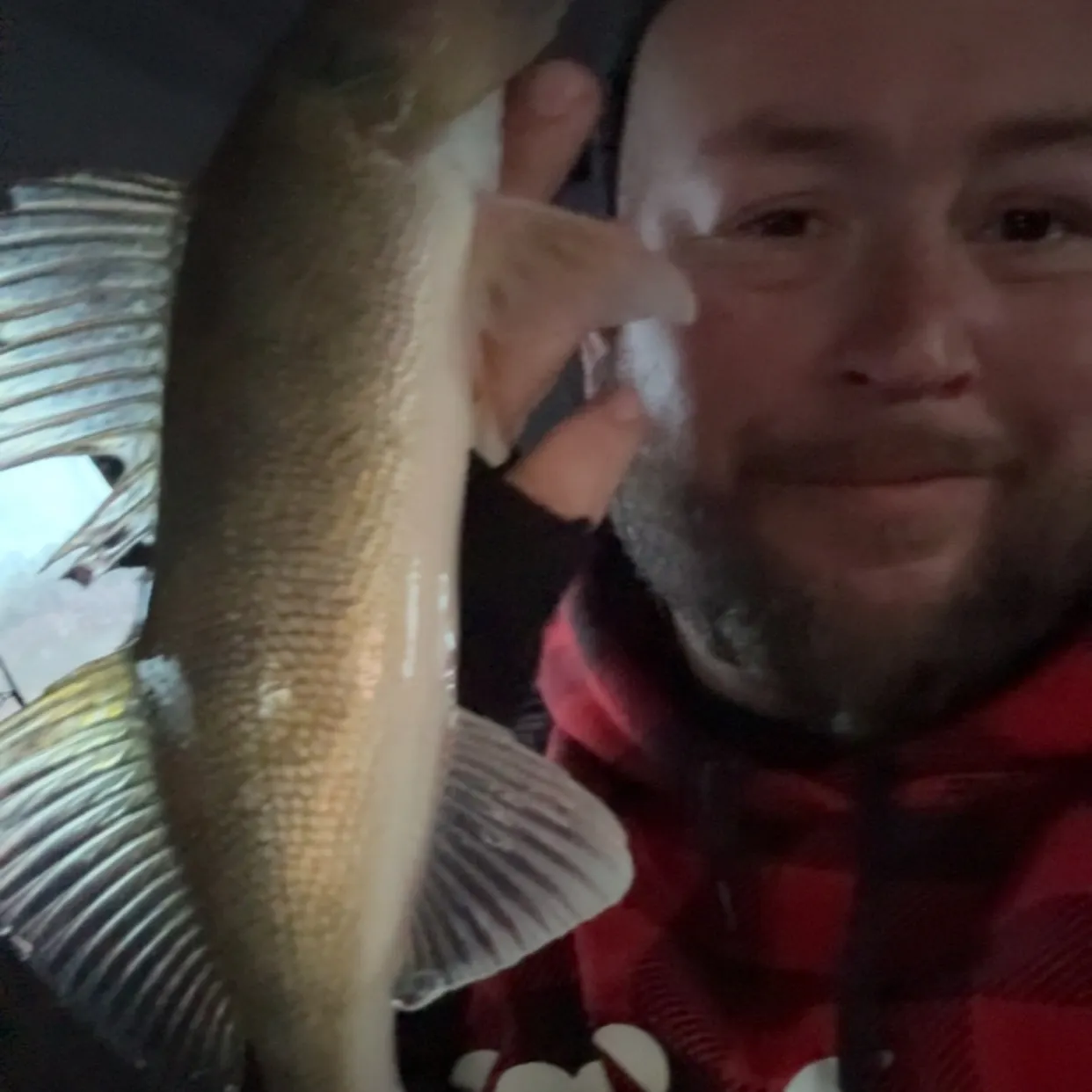 The most recent Walleye catches on Fishbrain