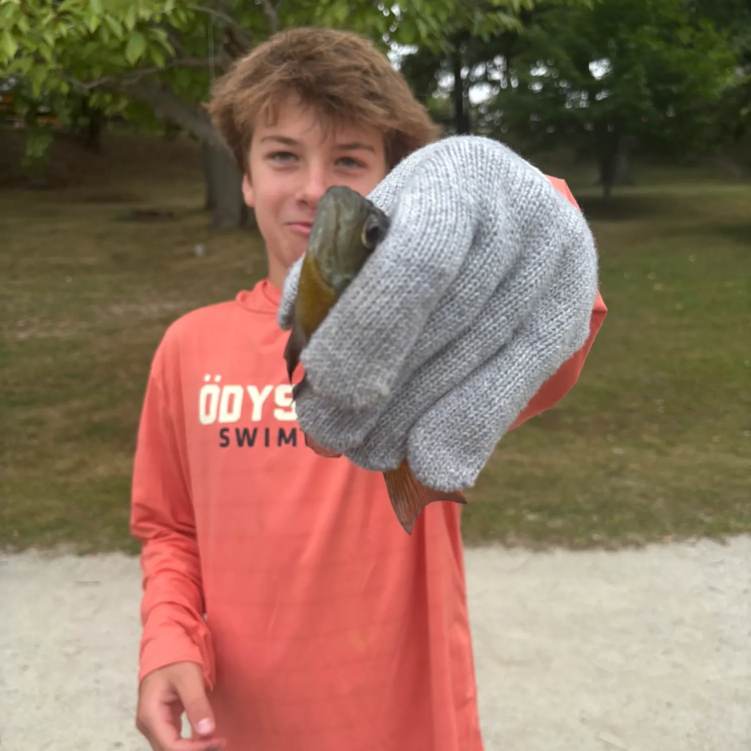 Bluegill caught on Fishbrain