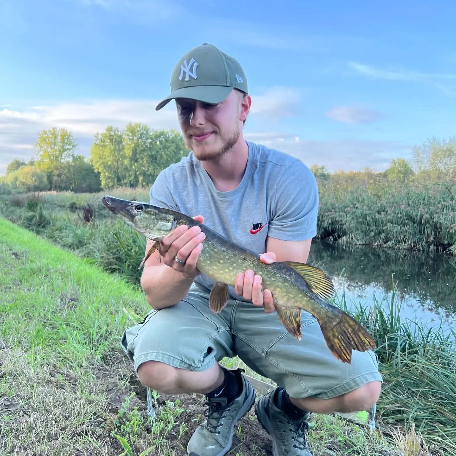 Northern pike caught on Fishbrain