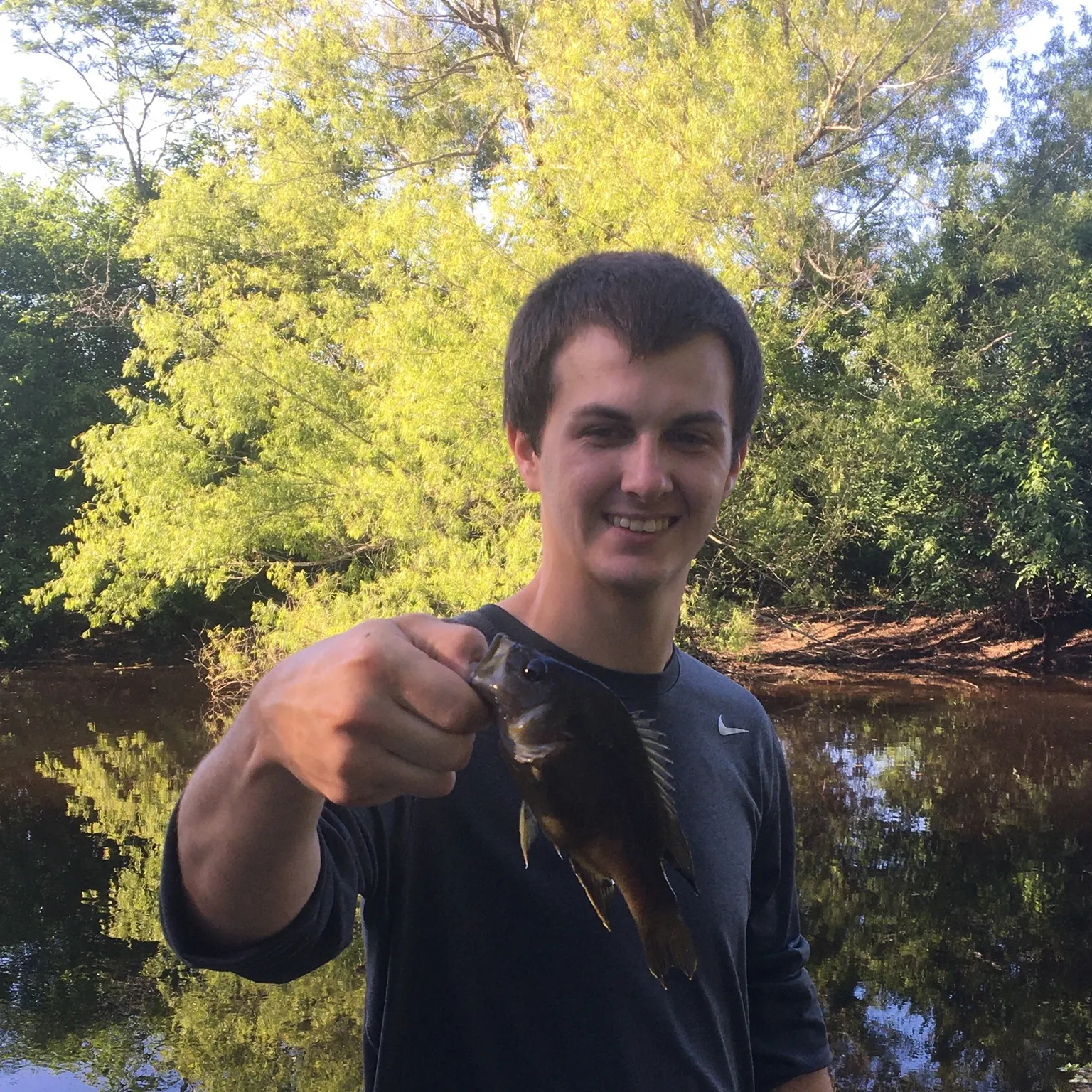 The most recent Warmouth x green sunfish catches on Fishbrain