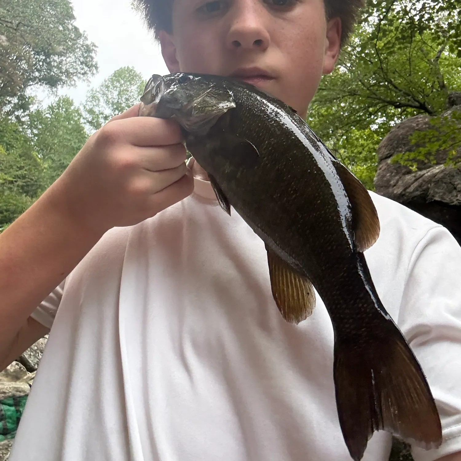 Smallmouth bass caught on Fishbrain