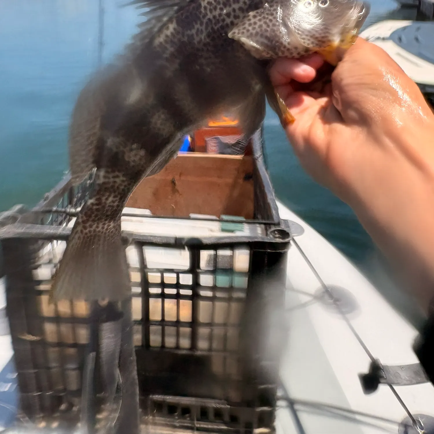 catch