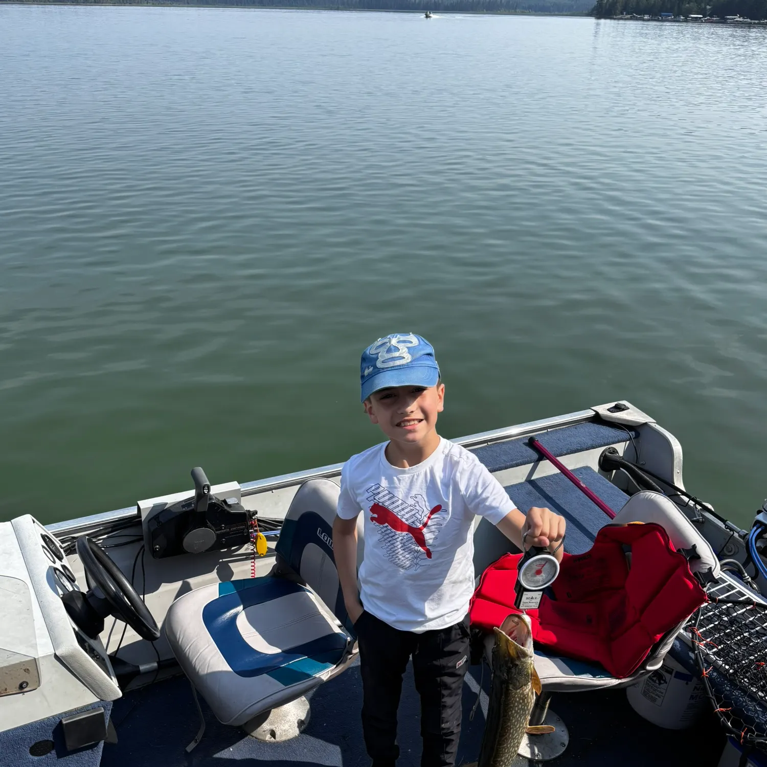 Northern pike caught on Fishbrain