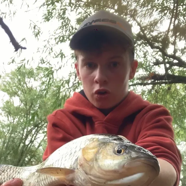European chub caught on Fishbrain