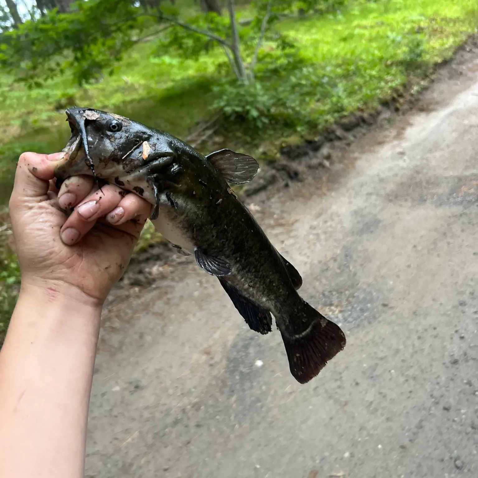 catch