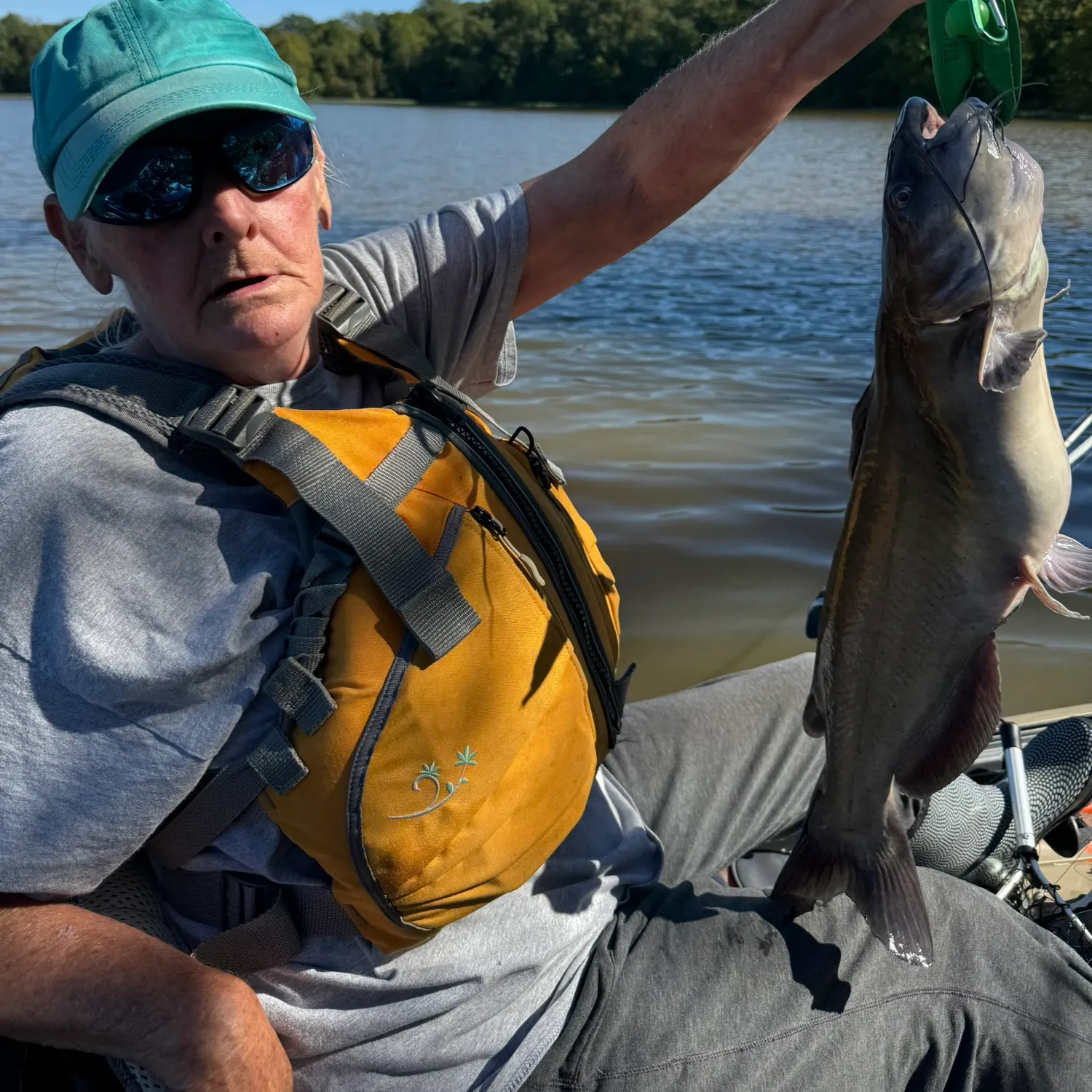 Channel catfish caught on Fishbrain