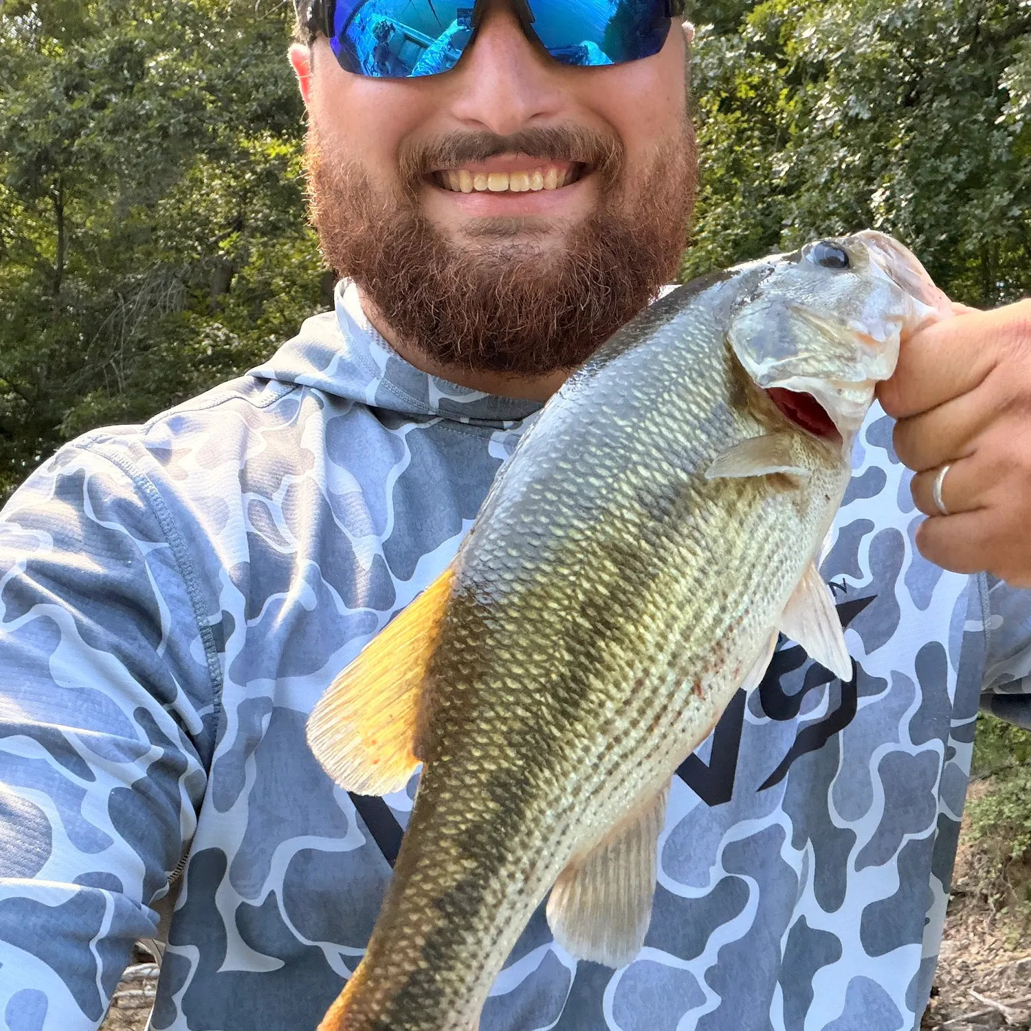 Fish caught on Fishbrain