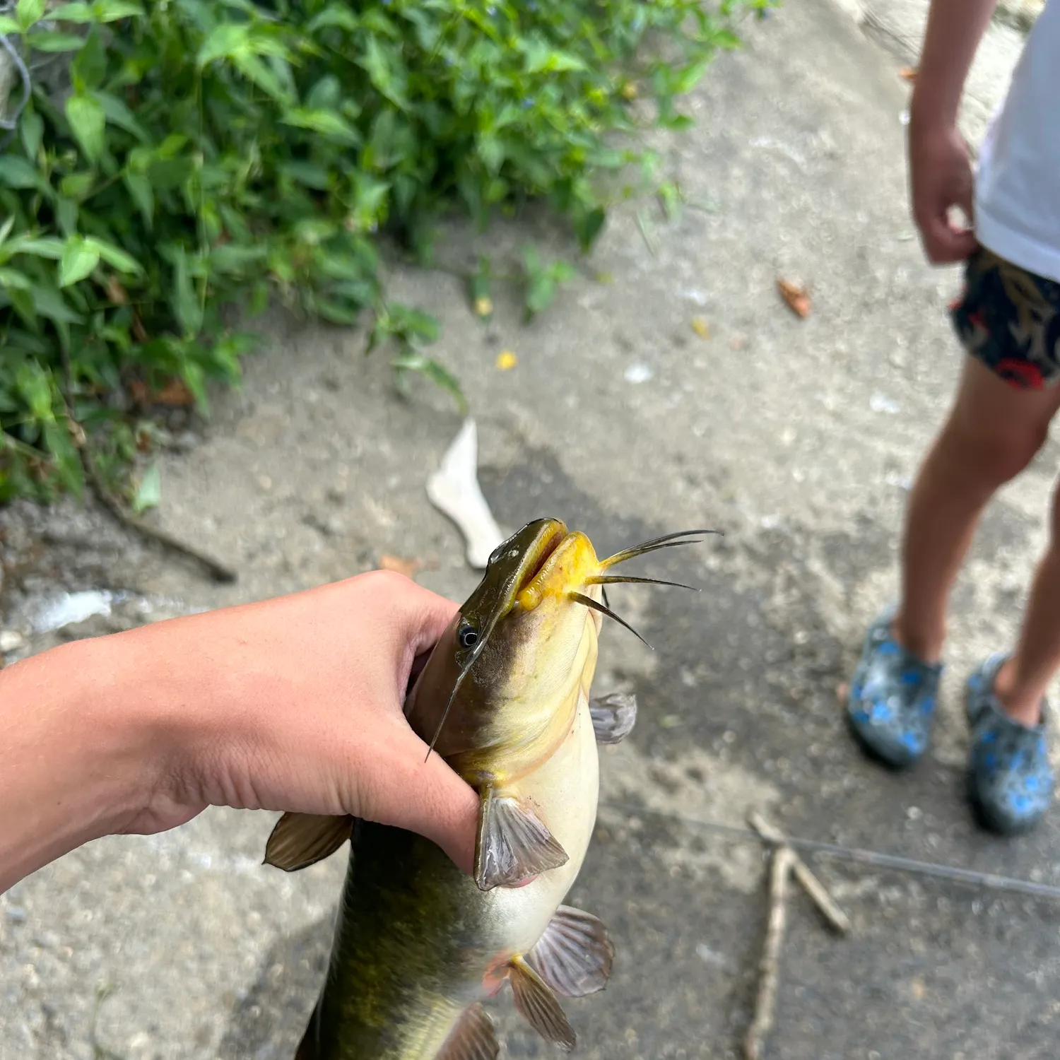 catch