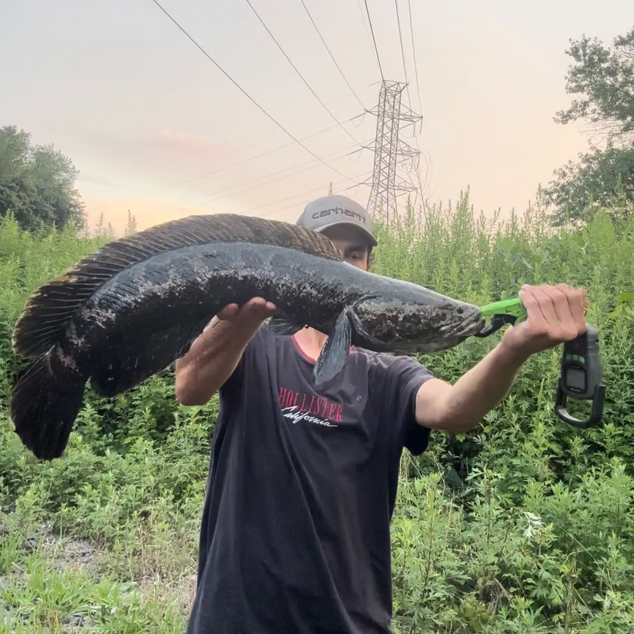 catch