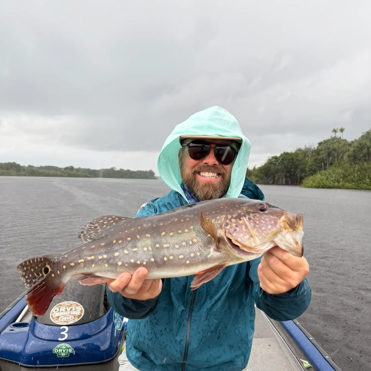 The most recent Speckled peacock bass catches on Fishbrain