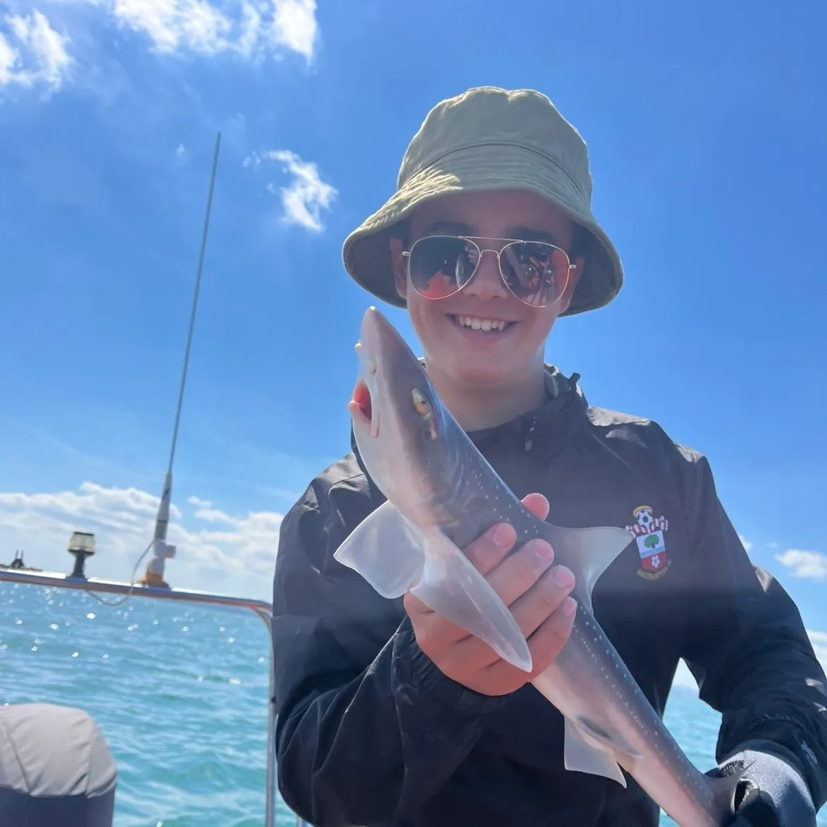 The most recent Starry smooth-hound catches on Fishbrain