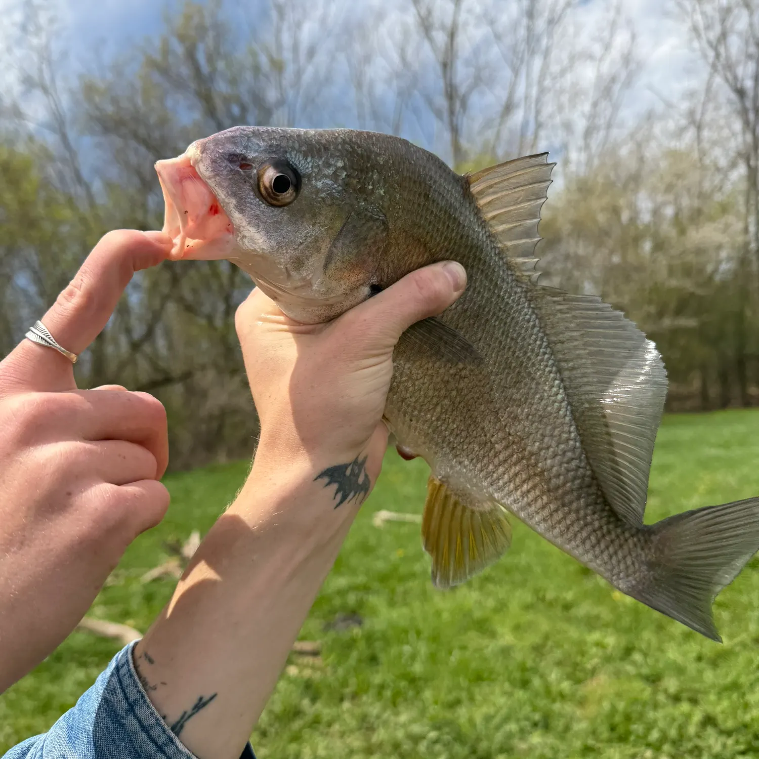 catch