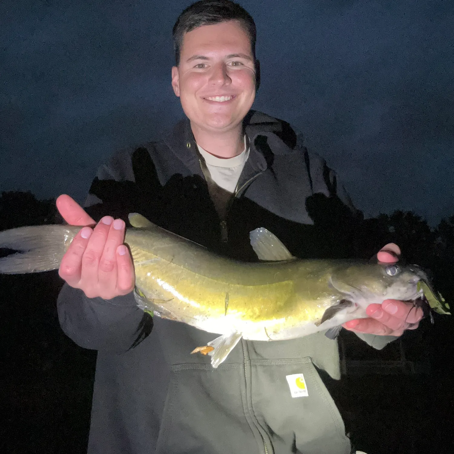 Channel catfish caught on Fishbrain