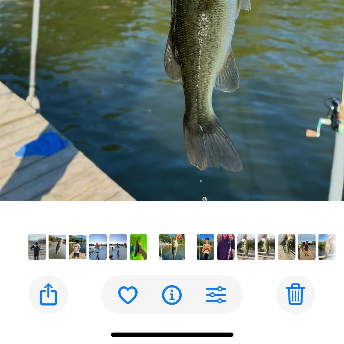 recently logged catches