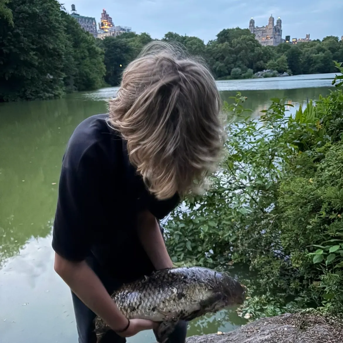 The most recent Black carp catches on Fishbrain
