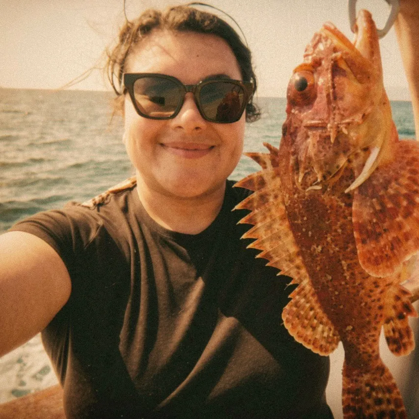 The most recent Longspined bullhead catches on Fishbrain