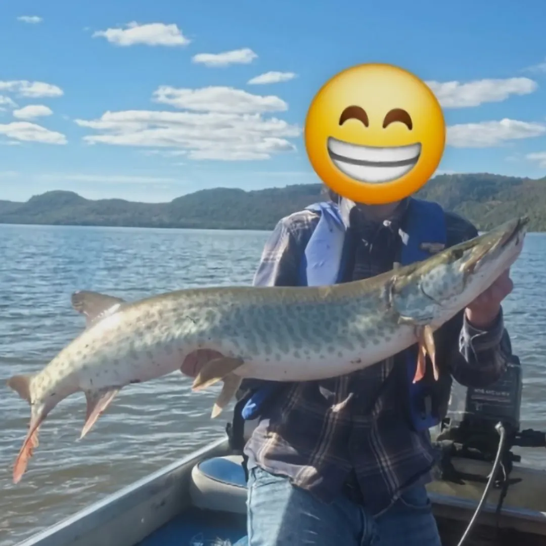Muskie caught on Fishbrain