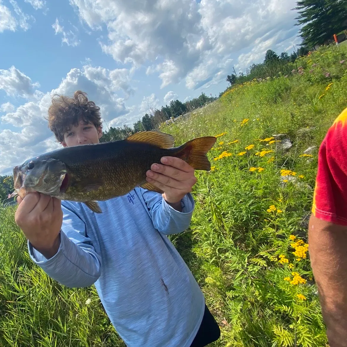 Smallmouth bass caught on Fishbrain