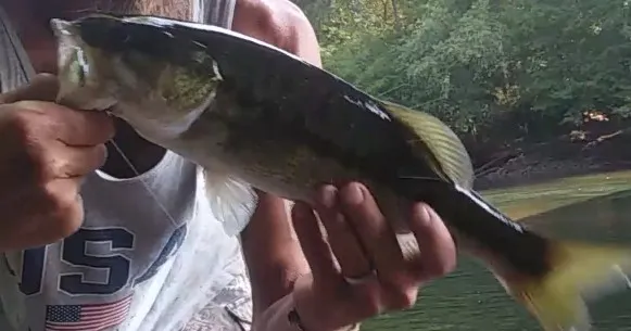 Post image from legallyblindoutdoors