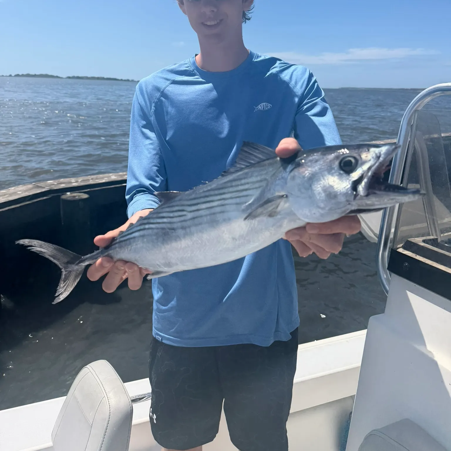 The most recent Atlantic bonito catches on Fishbrain