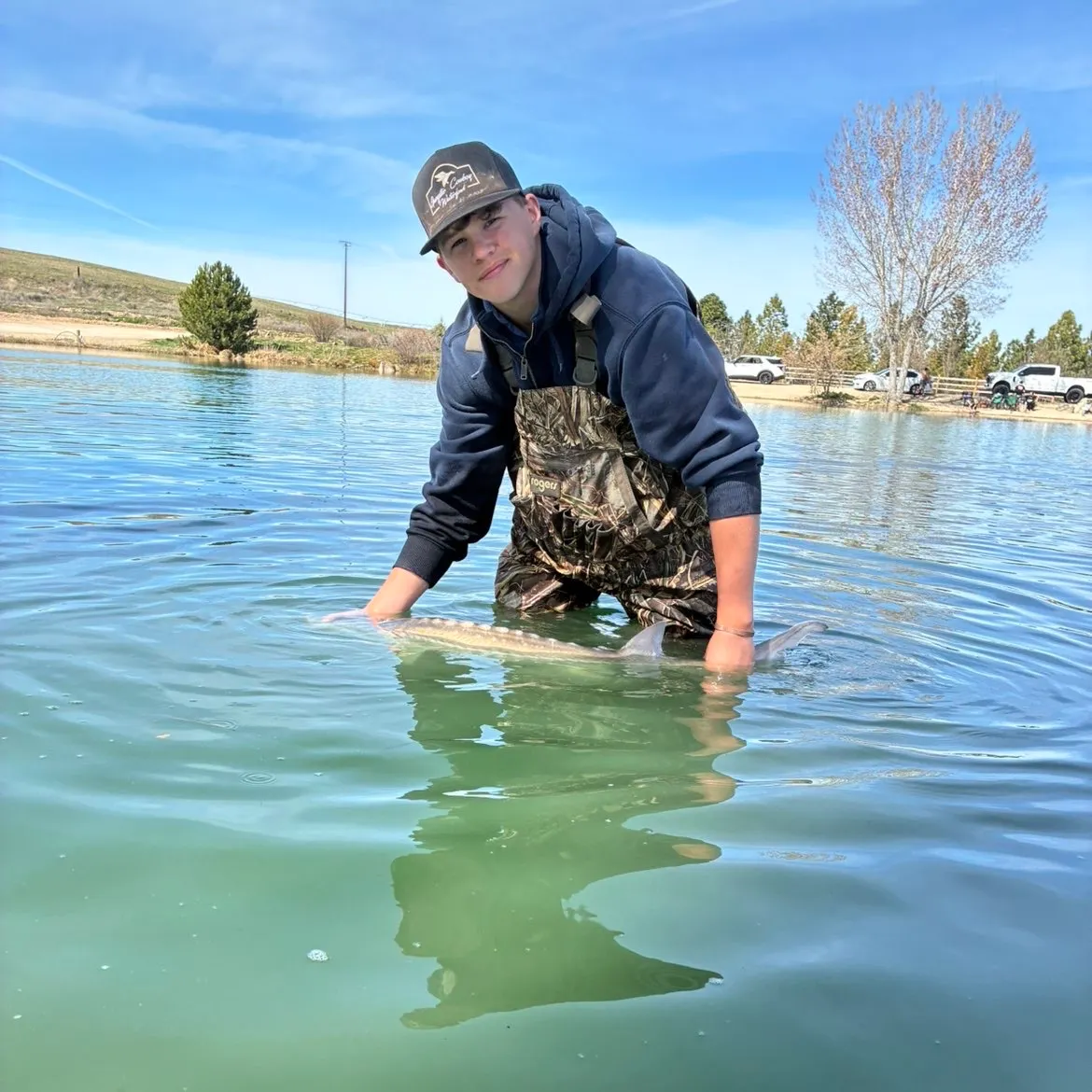 The most recent Pallid sturgeon catches on Fishbrain