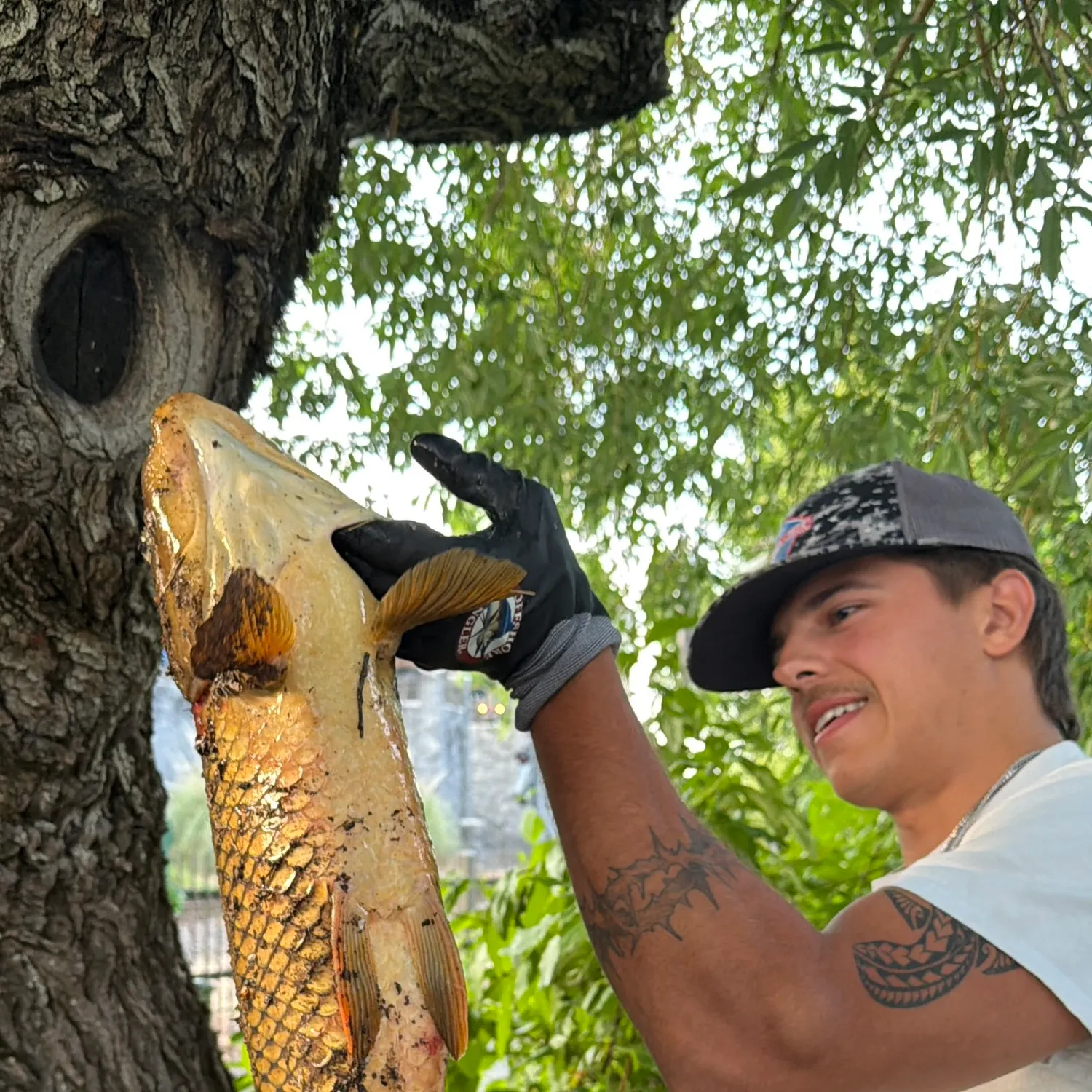 catch