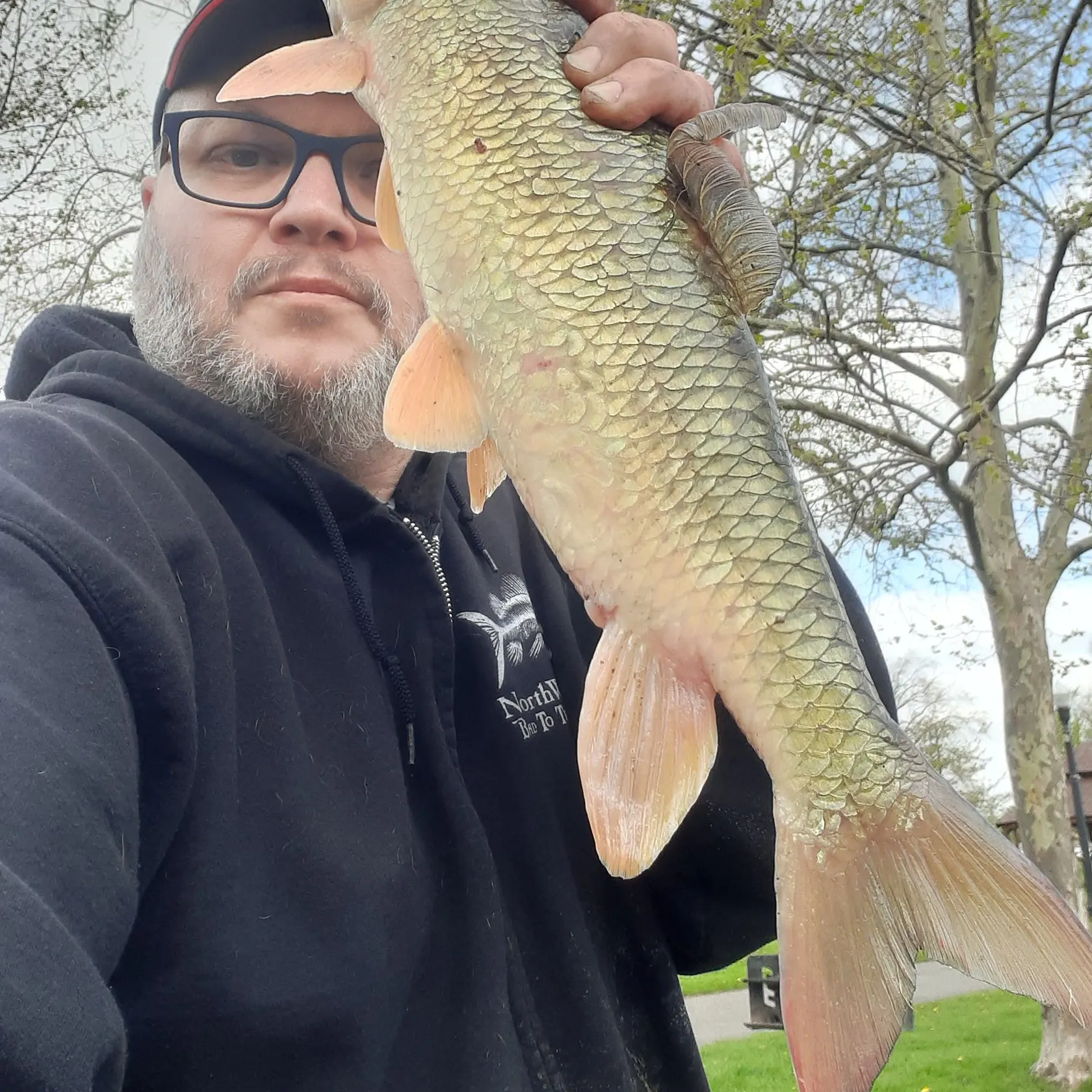 The most recent Shorthead redhorse catches on Fishbrain