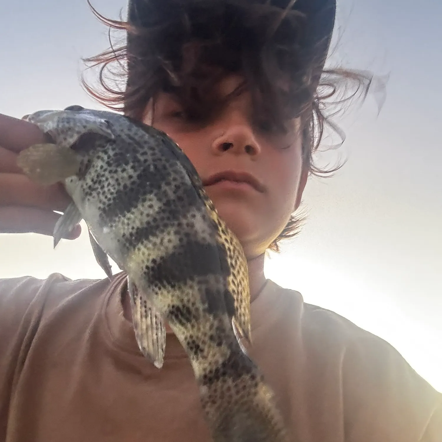 Fish caught on Fishbrain