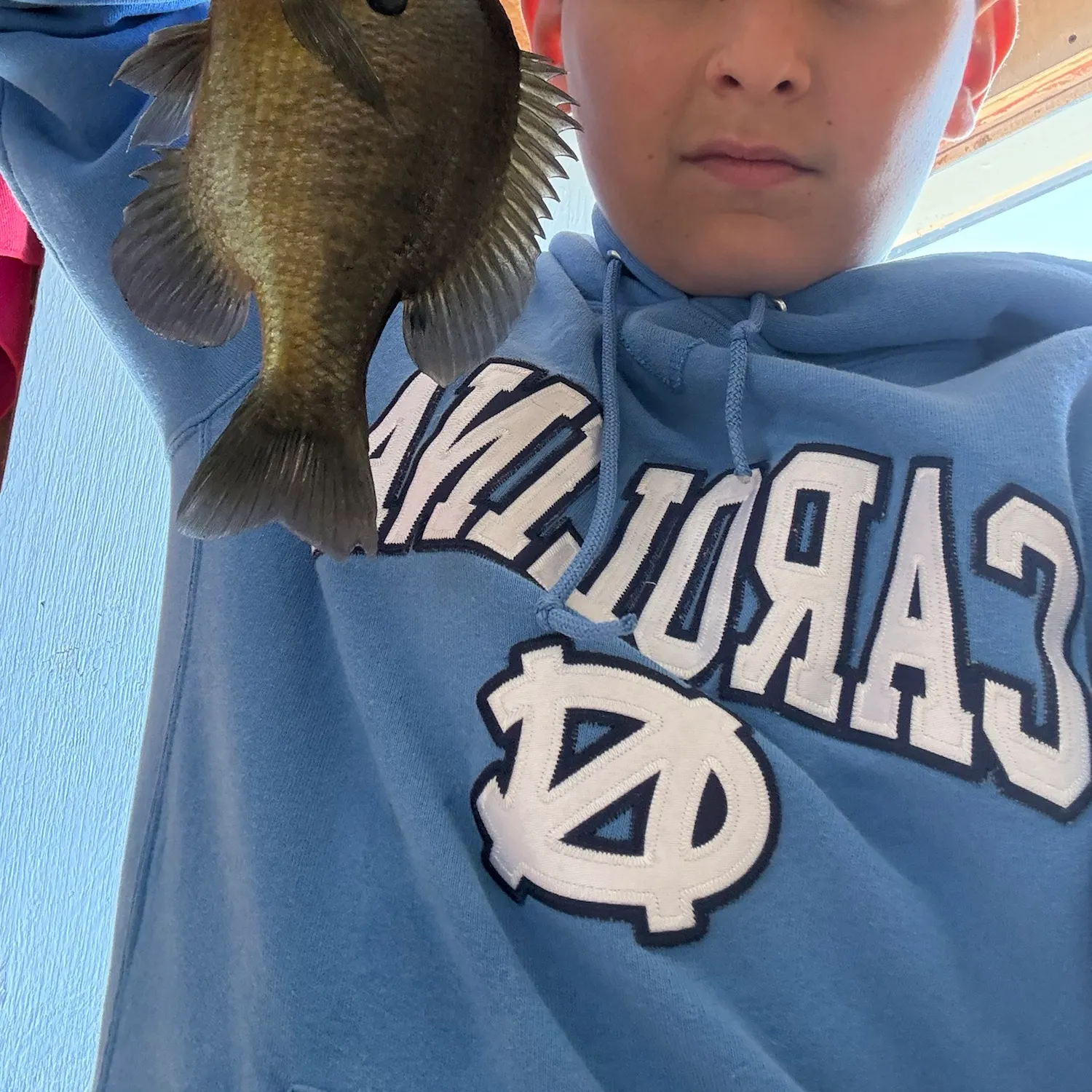 Bluegill caught on Fishbrain