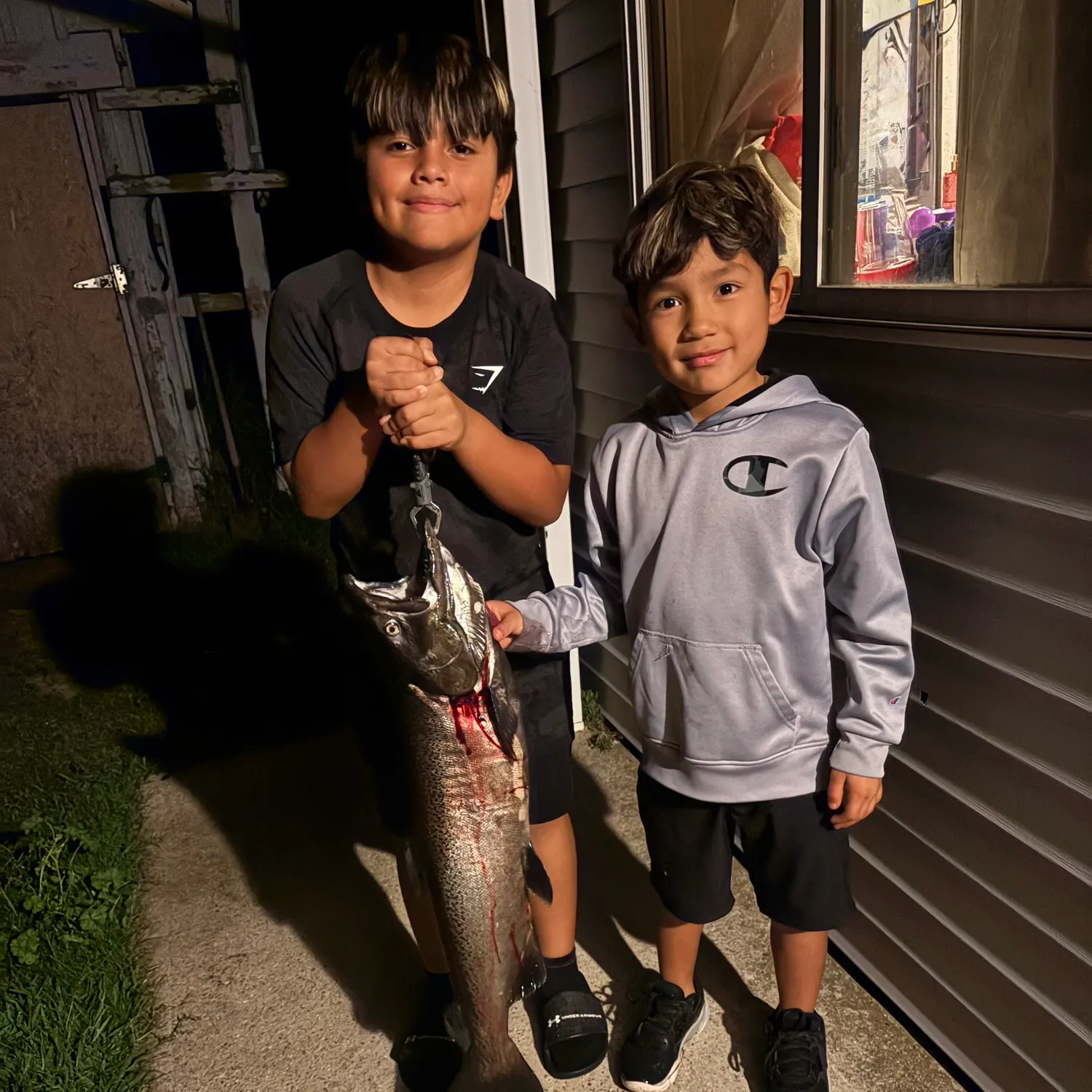 Coho salmon caught on Fishbrain