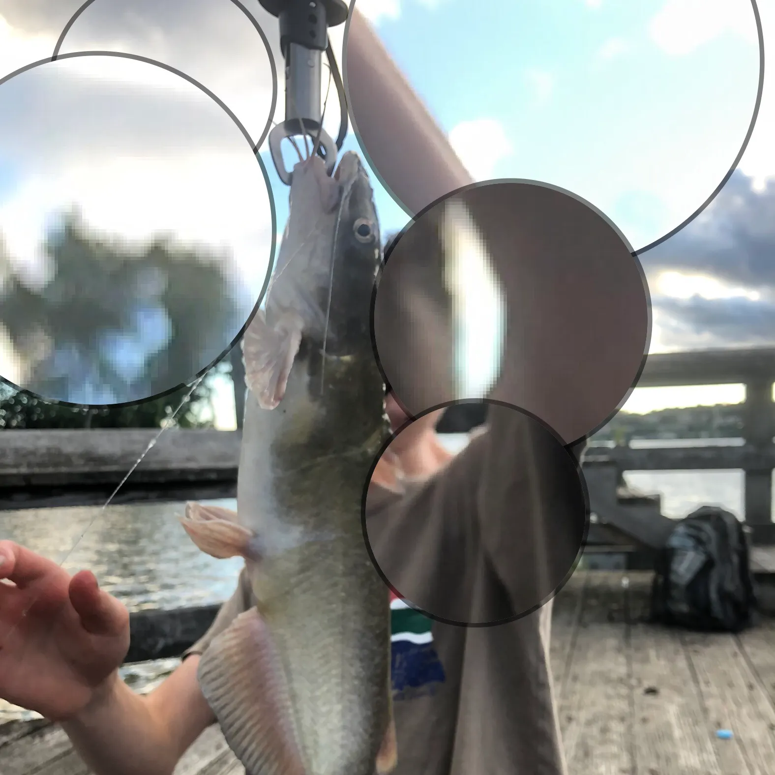 catch