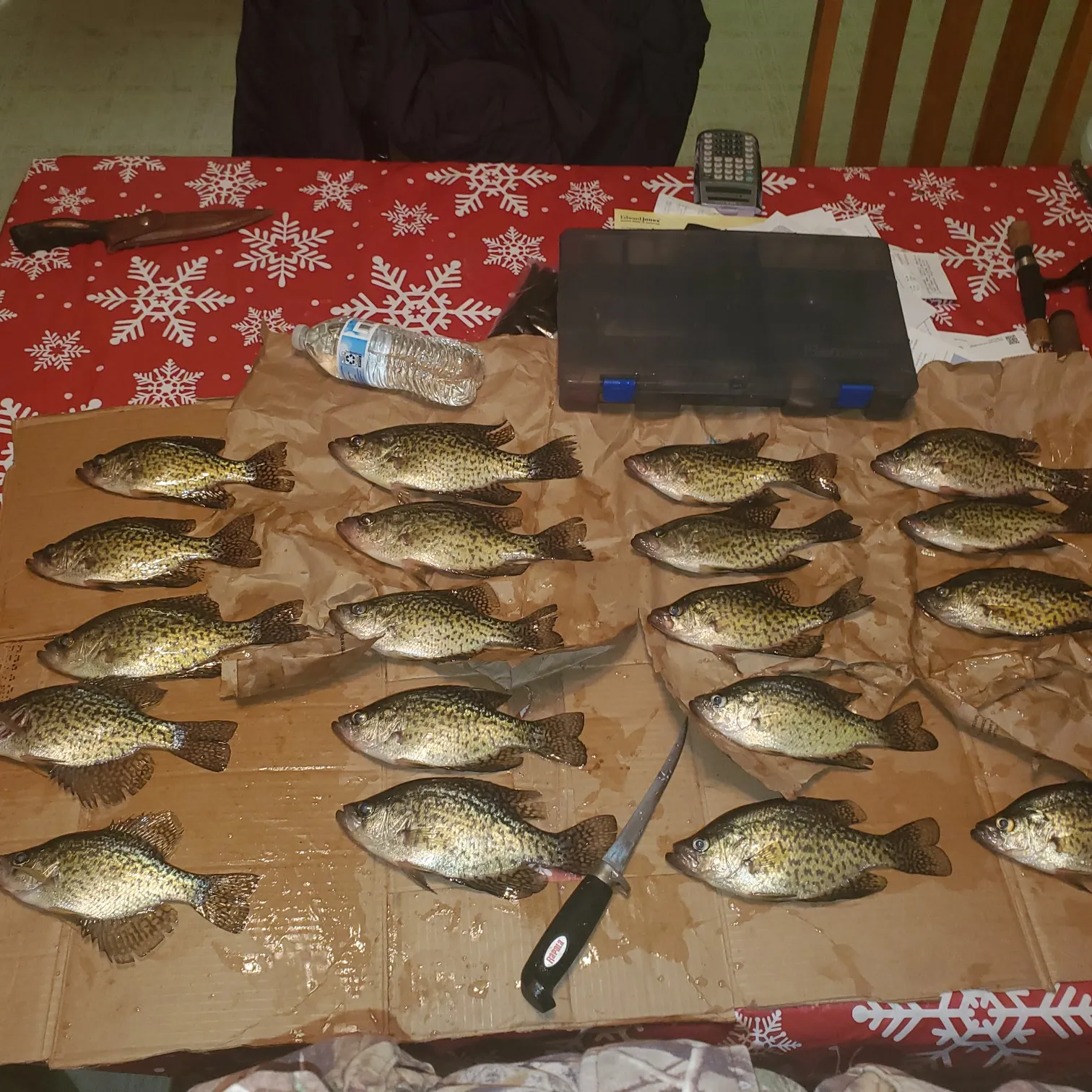 recently logged catches