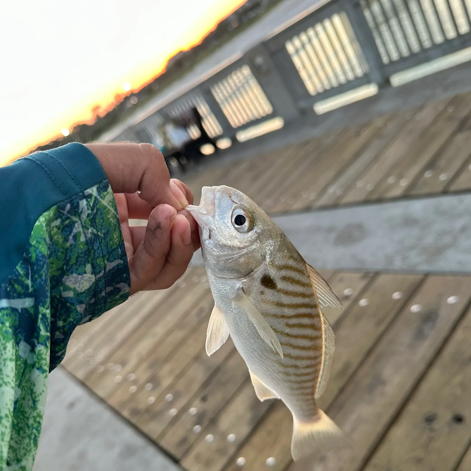 catch