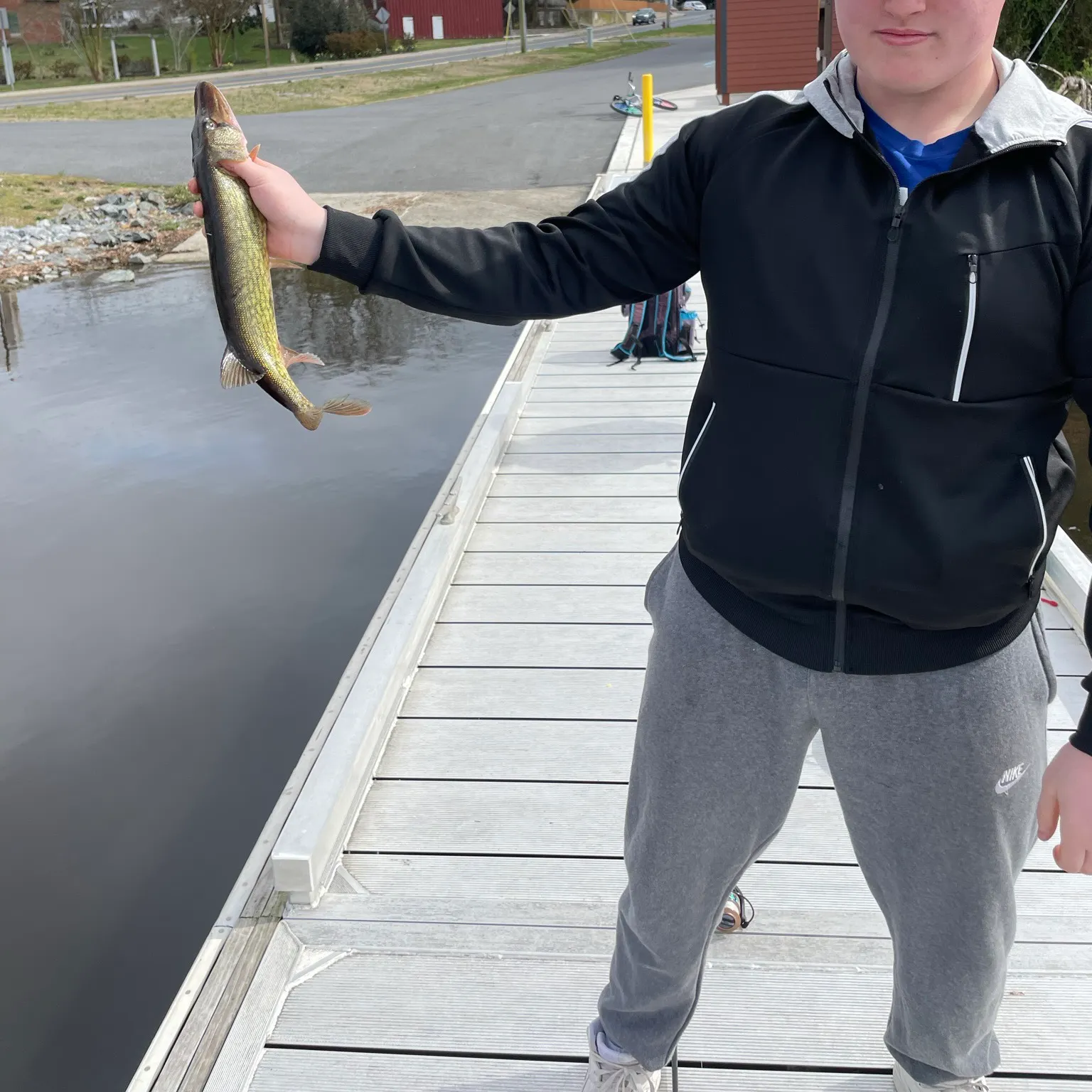 angler catch
