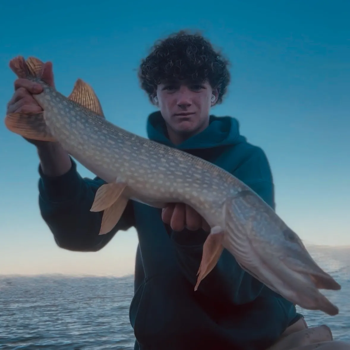 Northern pike caught on Fishbrain