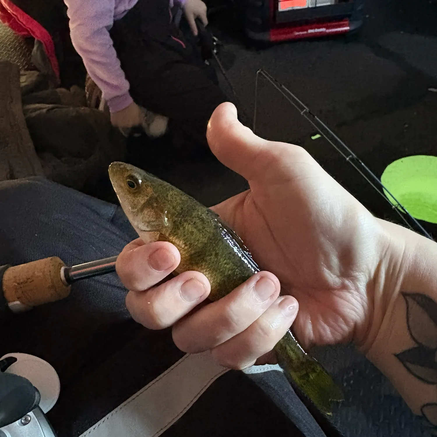 recently logged catches