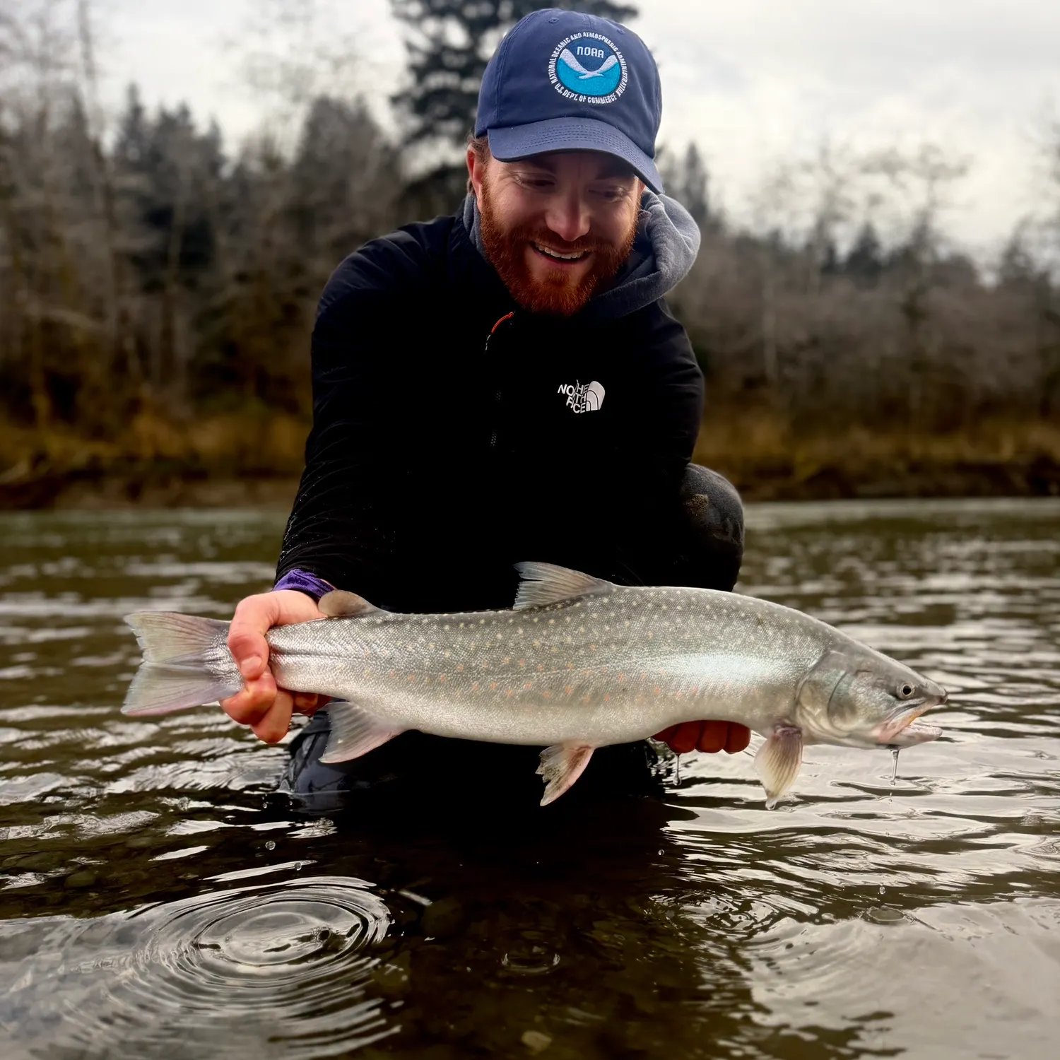 The most recent Bull trout catches on Fishbrain