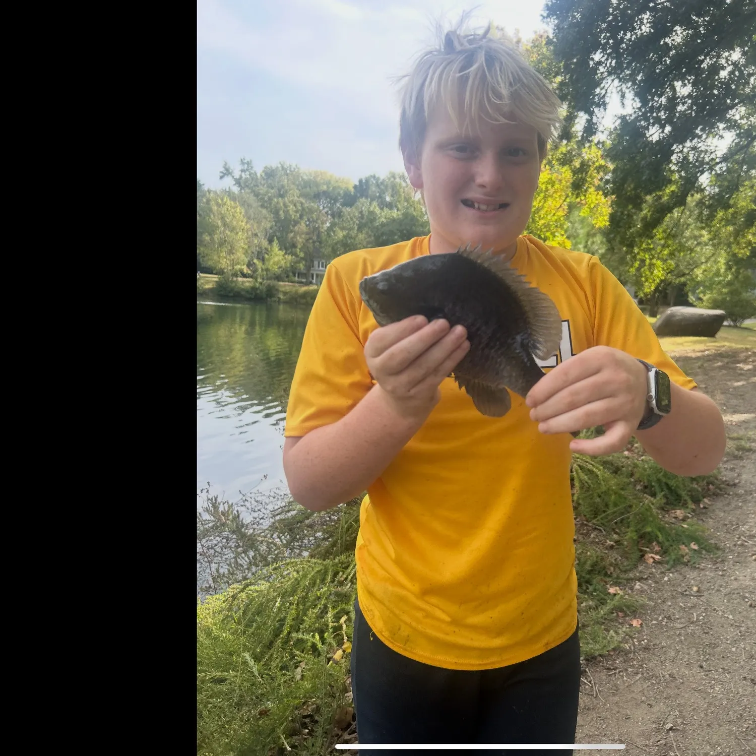 Bluegill caught on Fishbrain