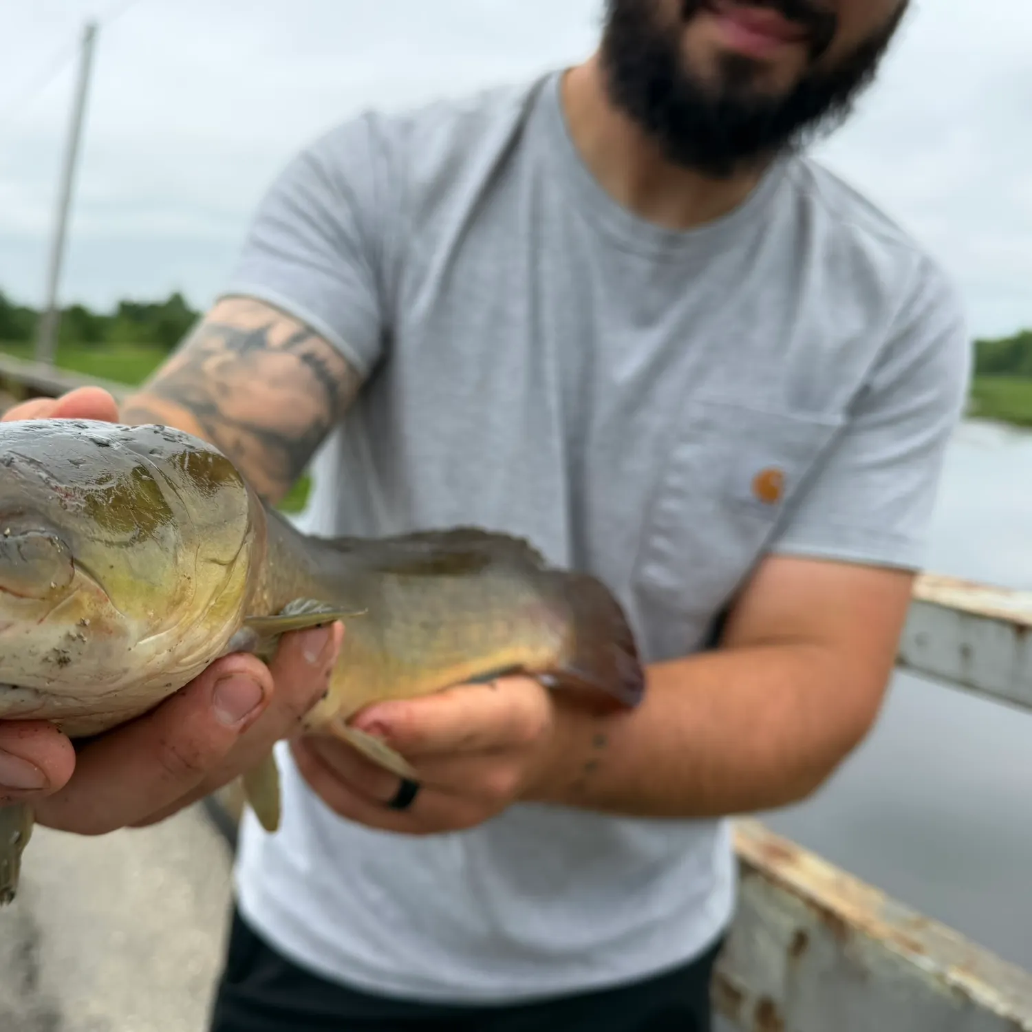 catch